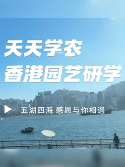 与香港园艺学会联合举办香港园艺研学，专业园境师带队讲解。