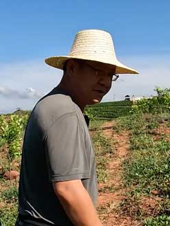 农业人叶涛，50多岁通讯人跨界搞农业，他要用1000万打造一个梦。